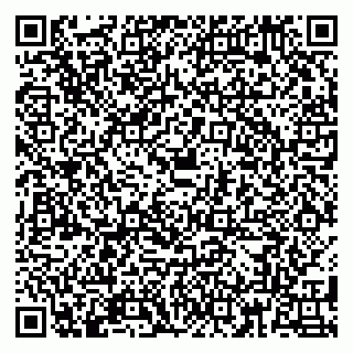 vCard 79180006529
