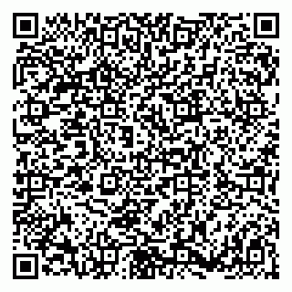 vCard 79180006532
