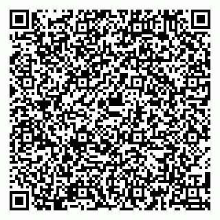 vCard 79180006541