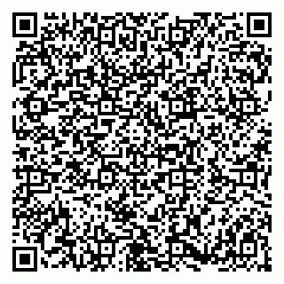 vCard 79180008413