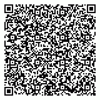 vCard 79180008737