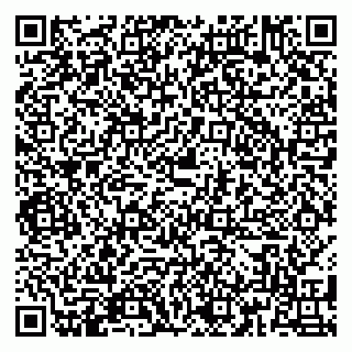 vCard 79180010403