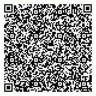 vCard 79180010413