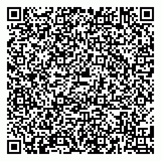 vCard 79180010513