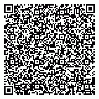 vCard 79180010527