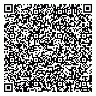vCard 79180010529