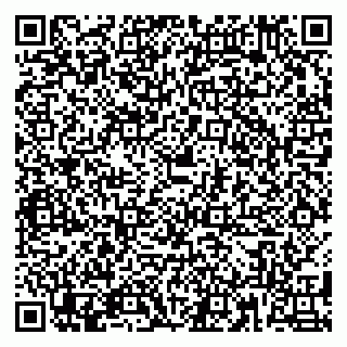 vCard 79180010531