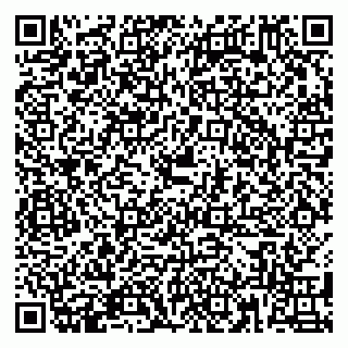 vCard 79180010532