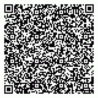 vCard 79180010538