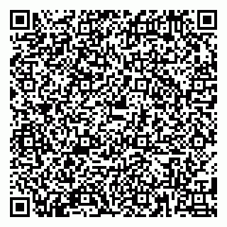 vCard 79180010539