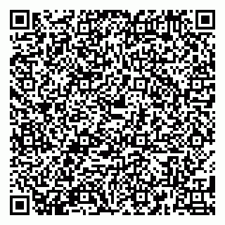vCard 79180010599