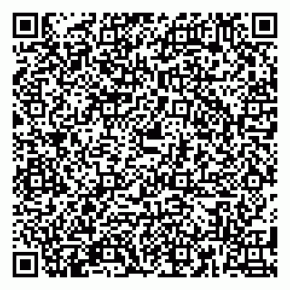 vCard 79180010615