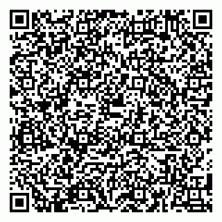 vCard 79180010651
