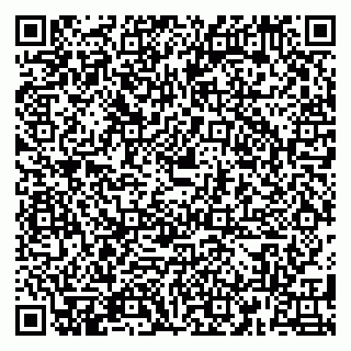 vCard 79180010699