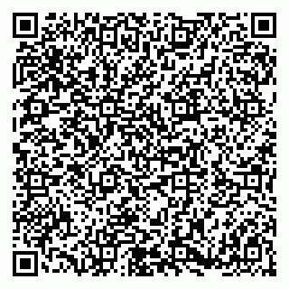 vCard 79180011003