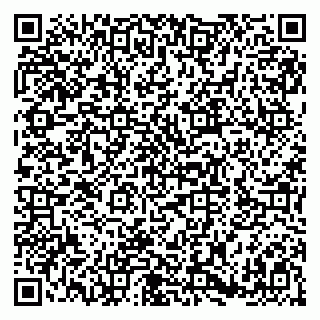 vCard 79180011061