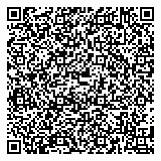 vCard 79180011313