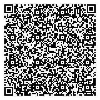 vCard 79180011497