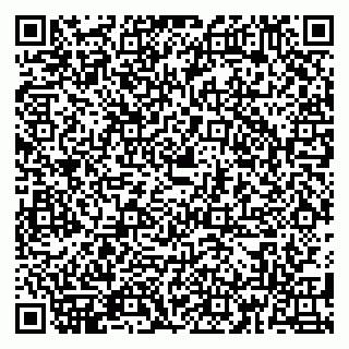 vCard 79180011745