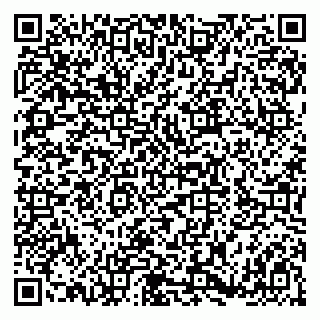 vCard 79180011803