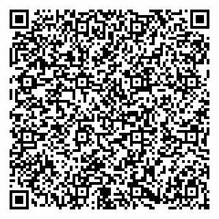 vCard 79180011889