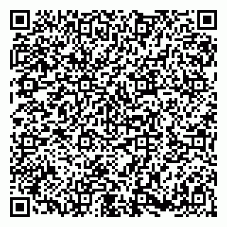 vCard 79180013221