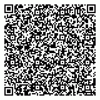 vCard 79180013234