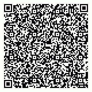 vCard 79180013252