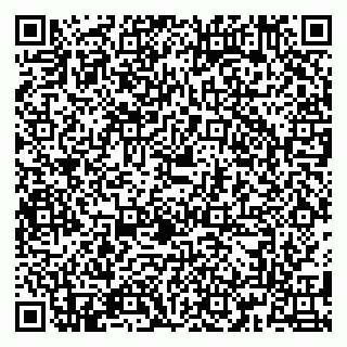 vCard 79180013281