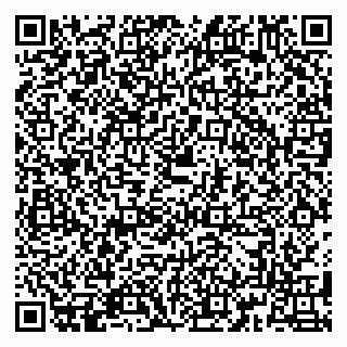 vCard 79180013287