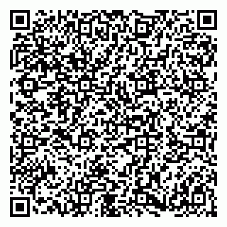 vCard 79180013293