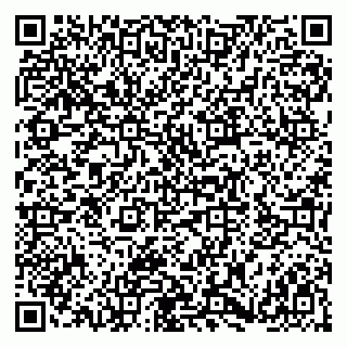 vCard 79180013297