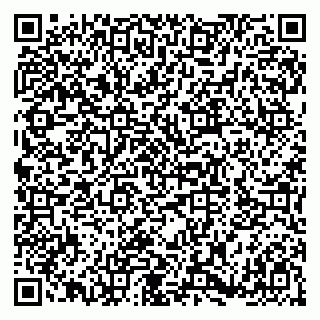vCard 79180013306
