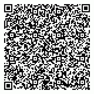 vCard 79180013308