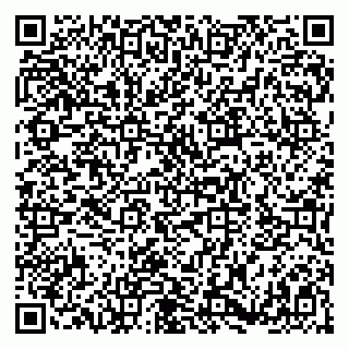 vCard 79180013311