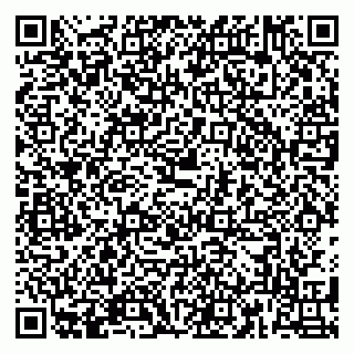 vCard 79180013313
