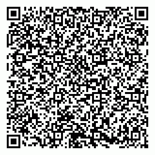 vCard 79180013324