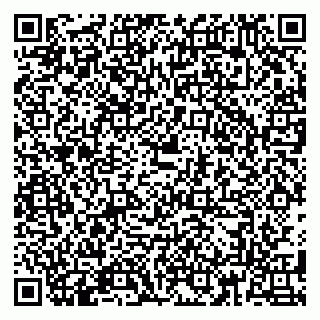 vCard 79180013325