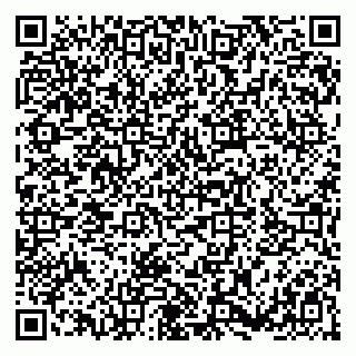 vCard 79180013339