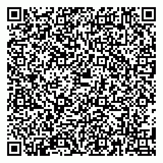 vCard 79180013377