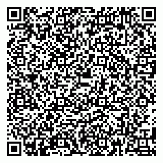 vCard 79180013379