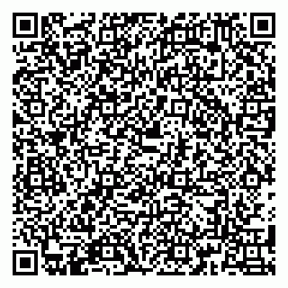 vCard 79180013380