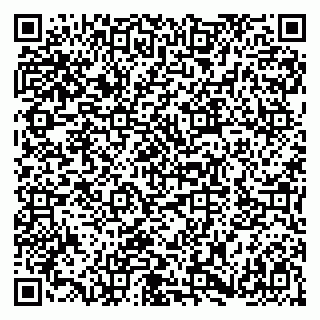vCard 79180013394