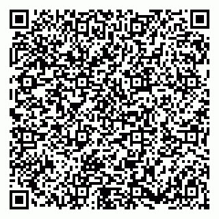 vCard 79180013433