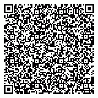 vCard 79180013445