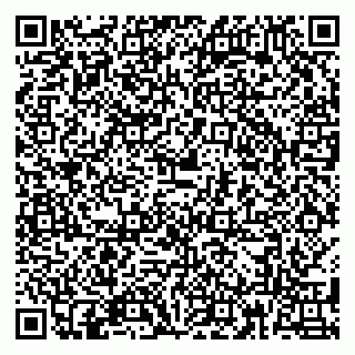 vCard 79180013474
