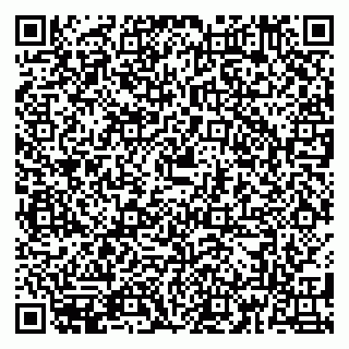 vCard 79180013541