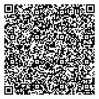 vCard 79180013550