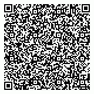 vCard 79180013573