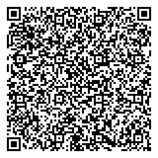 vCard 79180015387